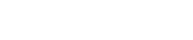 smartsmith-case study