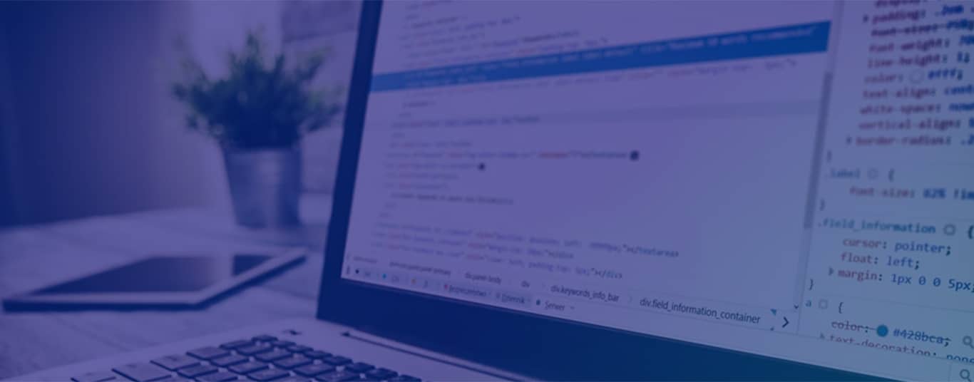 Service Single Banner